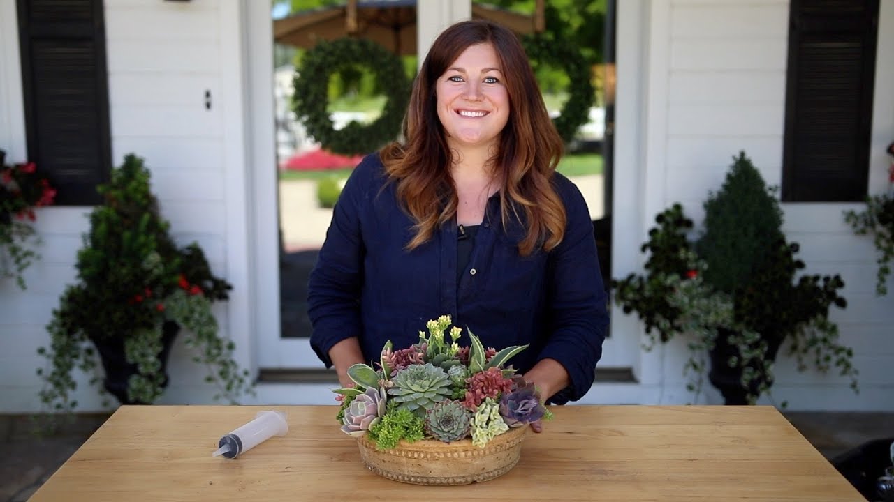How to Create Height in a Succulent Arrangement!