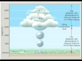 Air Parcel Behavior and Processes