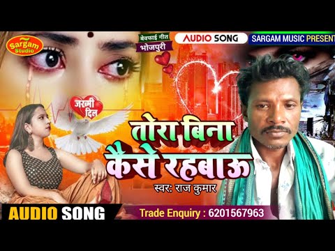 #Rajkumar #Said song #तोरा बिना कैसे रहबाऊ #New दर्द भरा गाना #Magahikegana #राजकुमारकेनयागाना 2025