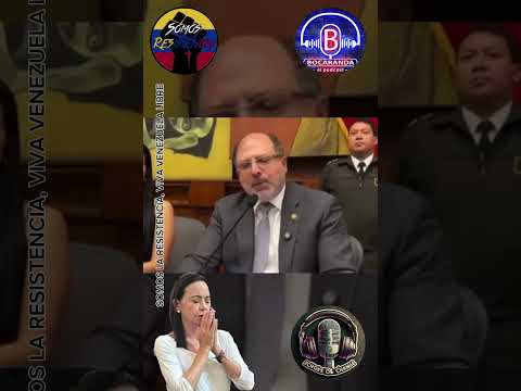 La Asamblea Nacional dice SÍ a la democracia en Venezuela
