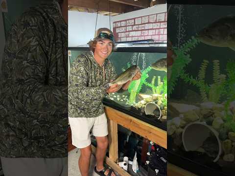 THE JOURNEY OF OUR PET BASS!!!