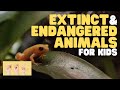 Endangered Animals and Extinction Causes