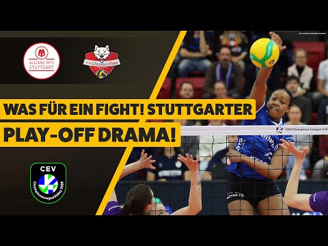 Allianz MTV Stuttgart - Developres Rzeszów | Highlights, Play-Offs CL Frauen | SDTV Volleyball