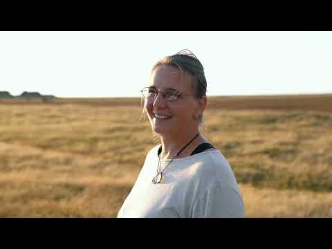 »Den Wind im Haar, das Meer im Blick« – Sehnsuchtsort Hallig Hooge / Buchtrailer