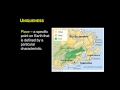 Geography Concepts and Analysis