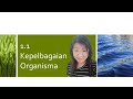 Biodiversity and Its Importance