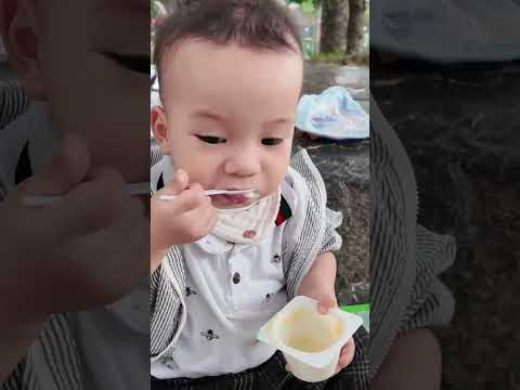 mimi - milo Ăn Giỏi #shorts