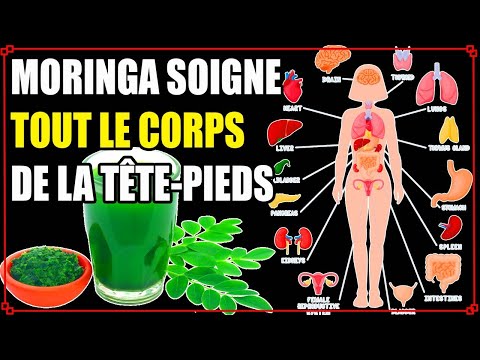 MORINGA: Dangers et Bienfaits Miraculeux de manger du MORINGA et COMMENT bien l'UTILISER