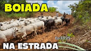 PASSOU UMA BOIADA NO ATOLEIRO. Como vai ficar agora?