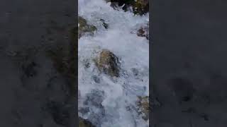 Mountain rivers. Eternal Love - Water and Stone. #Shorts