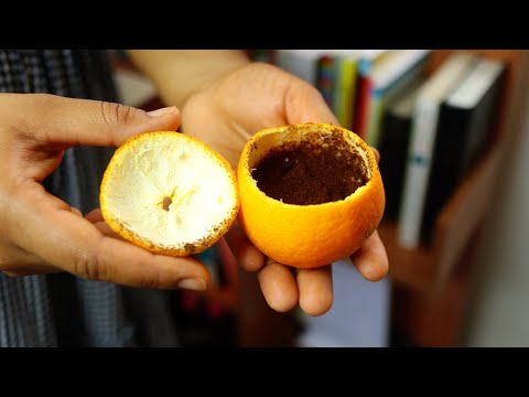 Targerines Are Worth Gold And Few Know About This!