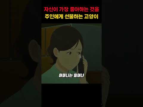 자신이 가장 좋아하는 것을 주인에게 선물하는 고양이