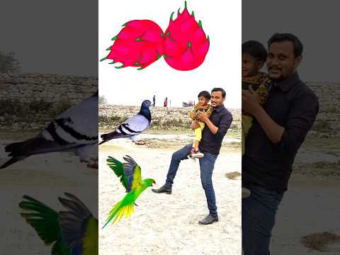 Rounding Dragon fruits to Duck, Peacock, Pigeon & Parrot - Birds names magic video