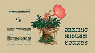 College Music Presents: "PhonoSynthesis" 🪴 | organic, ambient instrumentals