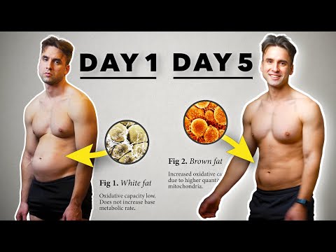 I Fasted for 5 Days and Walked 7 hours a Day