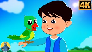 Mitthu Mitthu Main Tota, मिट्ठू मिट्ठू, Billi Mausi + More Hindi Poem For Toddlers