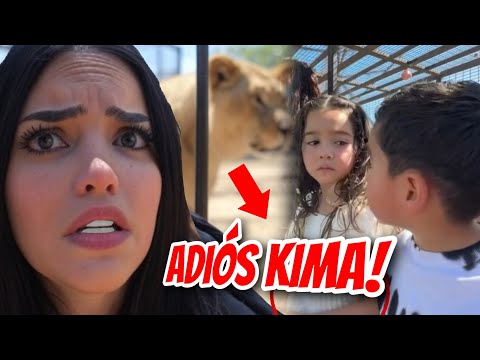 NO PUEDE SER! 🔴😭 (KIMA SOFÍA SE METIÓ A UNA JAULA CON LEONES) 🦁 KIMBERLY LOAIZA NO PUDO!