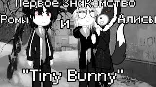 "Tiny Bunny"/Первое знакомство Ромы и Алисы\(~˘▾˘)~