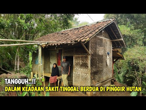 Dalam Keadaan Sakit Keluarga Ini Tinggal Berdua Di Rumah Sederhana Pinggir Hutan