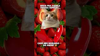 CADÊ MEU MORANGO DO AMOR?