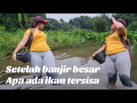 Setelah banjir besar apa masih ada ikan tersisa di sungai ini ?