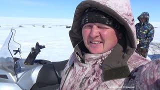 видео