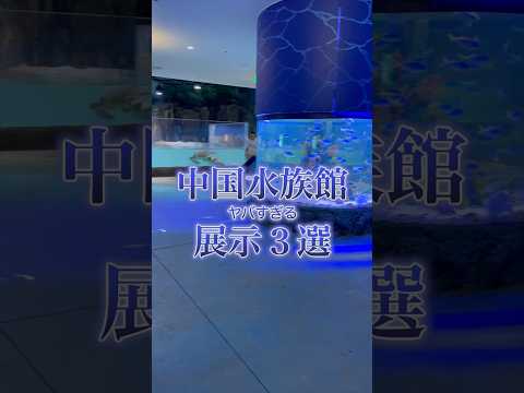 中国水族館は手に負えない…