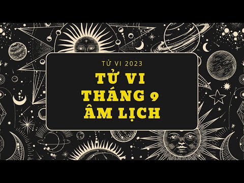 Kết Luận và Lời Khuyên Tổng Thể