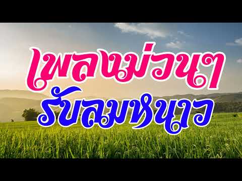 เพลงม่วนๆ รับลมหนาว