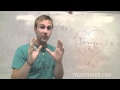 Understanding Polygons and Their Properties