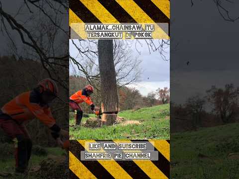 Alamak chainsaw itu tersangkut Di pokok!! #trending #trendingshorts #shorts