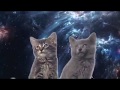 Віктор Корольов: Відео-вікторина