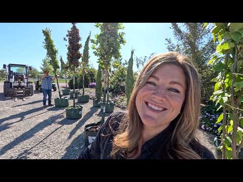 Exciting Load of BIG Trees! 🌳🌲🌳 // Garden Answer