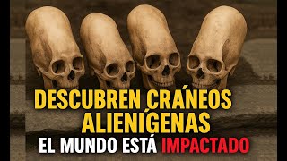 “Arqueólogos Descubren Cráneos Alienígenas – El Mundo Está Impactado”