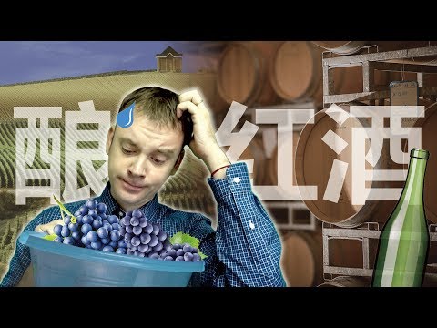 红葡萄酒的酿造过程！WINE MAKING PROCESS 【李格红酒故事 Greg Wine Stories #16】 - YouTube