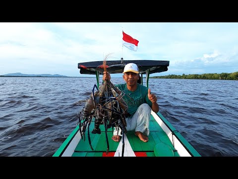 Alhamdulillah, panen udang besar setelah dapat banyak durian saat mencari cacing di kebun