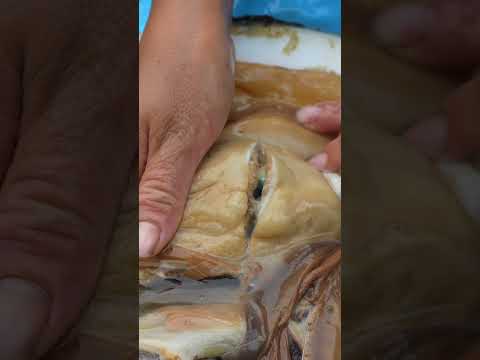 ? The Hidden Treasure of Oysters