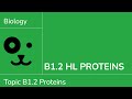 Protein Structure and Function Concepts
