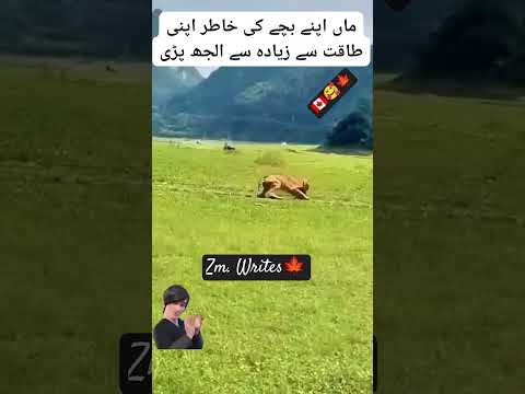 islamicvideos foryou and subscribe to my YouTube channel foryou