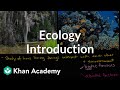 Exploring the Basics of Ecology