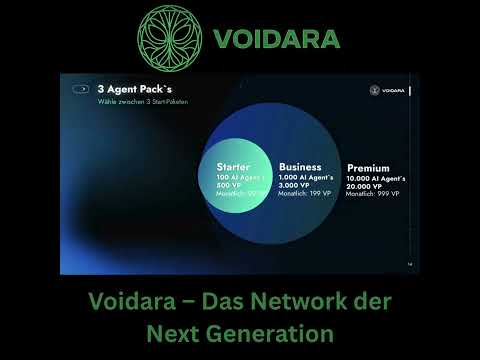 Voidara erklärt in 17 Minuten – So wirst du frei
