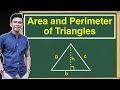 Triangle Area and Perimeter Problems