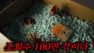 조회수에 미친 초보 유튜버가 집으로 배달시킨 물건... ㄷㄷㄷ