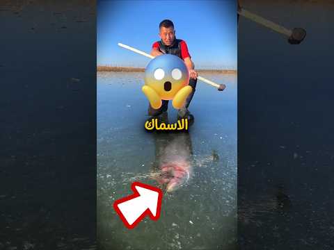 إنقاذ الا سماك من التجمد 🤩 #اكسبلور #shortsyoutube #ترند #shortvideo