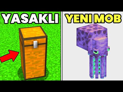 MİNECRAFT'TA VARLIĞINI DAHİ BİLMEDİĞİNİZ 31 DETAY!