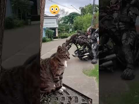 Vean lo😱bonito que es 😁andar en 🤩moto dice este Riki 😎dale like👍comparte🎥