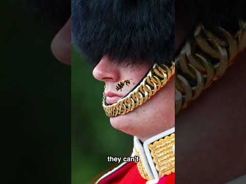 NEVER Mess With a Royal Guard