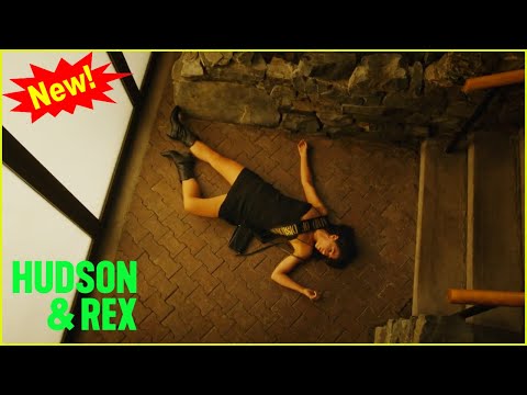 Hudson & Rex New 2024 | Rexpert Witness | Hudson & Rex New Episodes 2024 Full HD