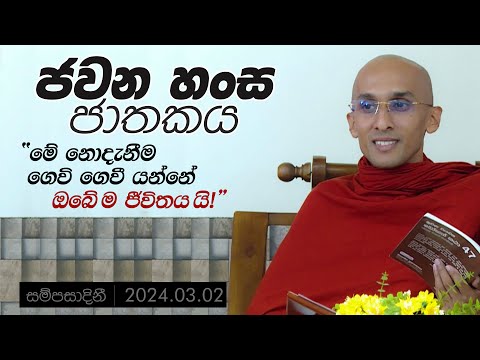 ජවන හංස ජාතකය "මේ නොදැනීම ගෙවි ගෙවී යන්නේ ඔබේ ම ජීවිතය යි!" | සම්පසාදිනී |     2024-03-02