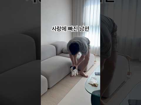 사랑에 빠진 남편